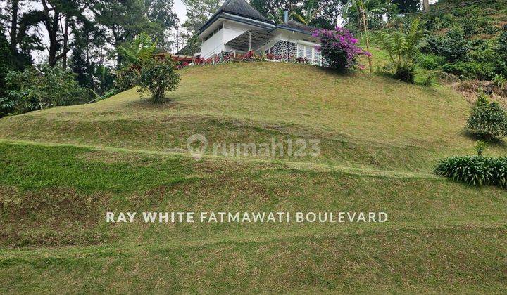 Puncak Pass Villa Kolonial View Hutan Cemara Menakjubkan 1