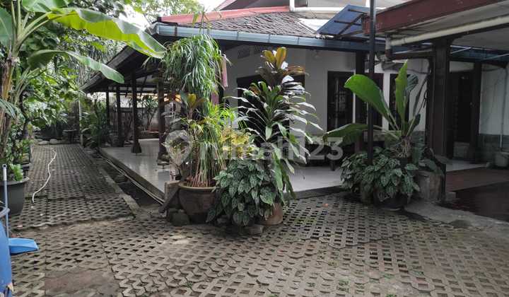Menteng Rumah Lawas Gaya Kolonial Area Sejuk Taman Lembang  2