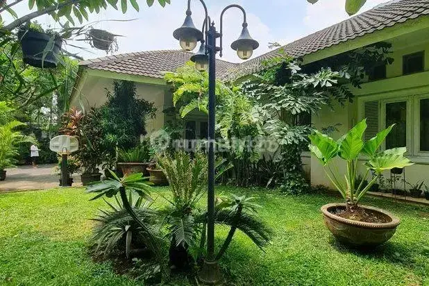 Kemang Dalam Rumah Klasik Asri Yg Adem Lingkungan Sangat Nyaman  2