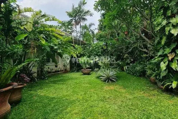 Kemang Dalam Rumah Klasik Asri Yg Adem Lingkungan Sangat Nyaman  1