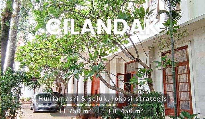 Cilandak Dekat Citos Rumah Asri Dan Tenang Dengan Oase Ditengah Rumah 1