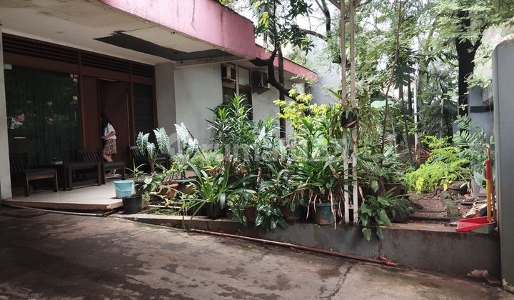 Rumah Lawas Area Gunung ,kebayoran Baru  Lt463/315