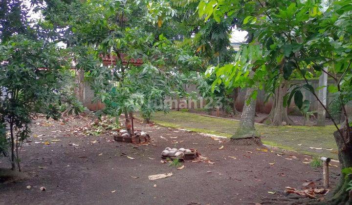 Lenteng Agung Rumah Dengan Tanah Luas Lt1280m2 Murah 2