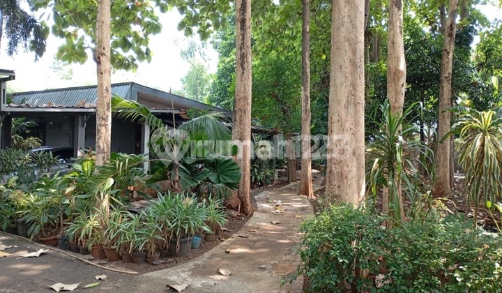 Tanah Luas Dijalan Utama Petukangan Dekat Akses Tol Jorr Tanah Luas Dijalan Utama Petukangan Dekat Akses Tol Jorr