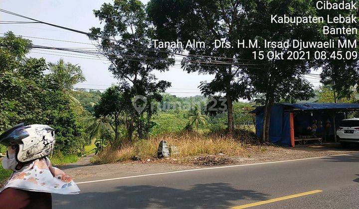 Tanah Murah Jl.Raya Rangkas Bitung Pandeglang Lebak Banten 1