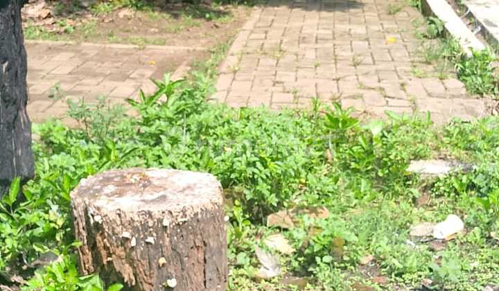 Jual Tanah Murah Akses Motor Cipadu