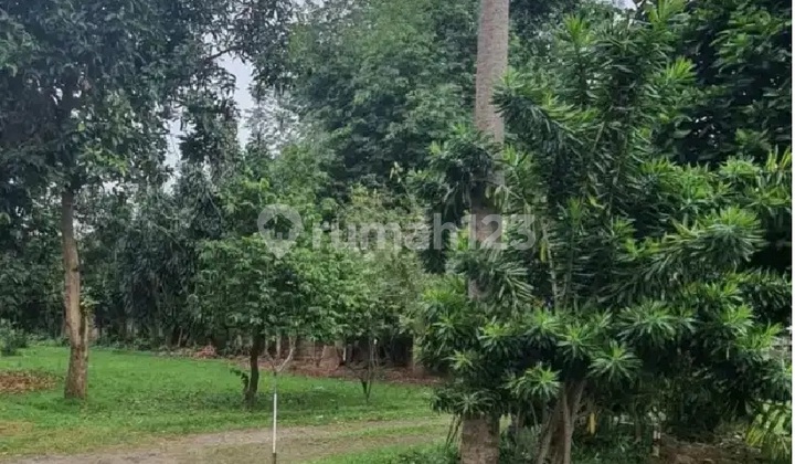 Jual Cepat Tanah Bintaro Veteran Pesanggrahan Jakarta Selatan