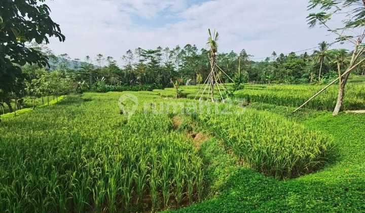 Tanah Murah di Purwakarta Jawa Barat
