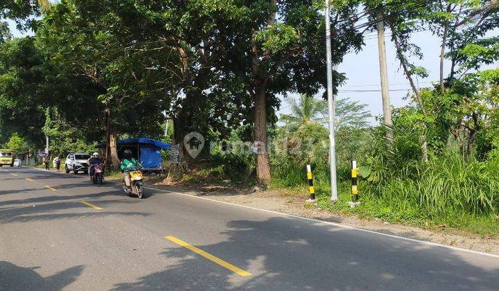 Tanah Murah Jl.Raya Rangkas Bitung Pandeglang Lebak Banten 2