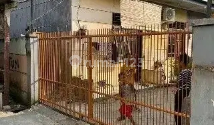 Jual Kontrakan 11 Pintu Semanan Kalideres Jakarta Barat Jual Kontrakan 11 Pintu Semanan Kalideres Jakarta Barat