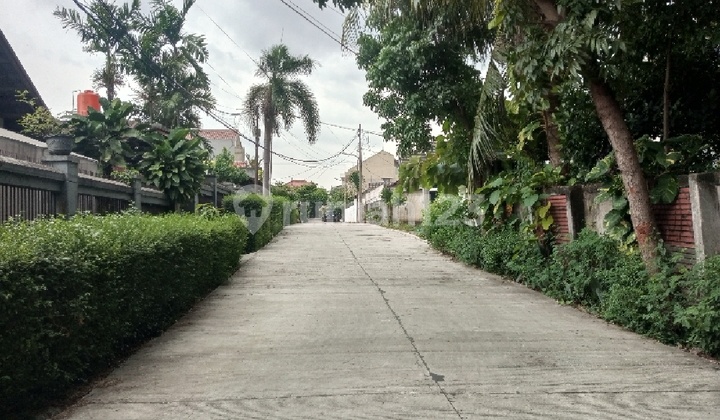 Jual Cepat Tanah Murah Perbatasan Jakarta Selatan Tangsel Jual Cepat Tanah Murah Perbatasan Jakarta Selatan Tangsel