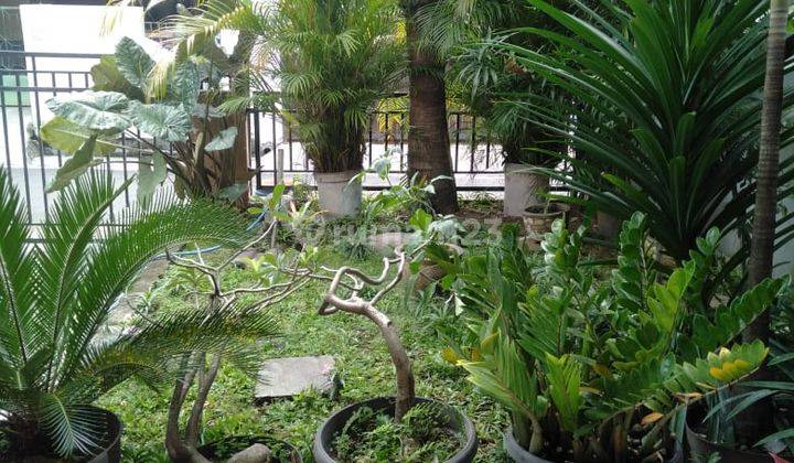 Dijual Rumah Istimewa Siap Huni Dinar Mas Tembalang Semarang 2