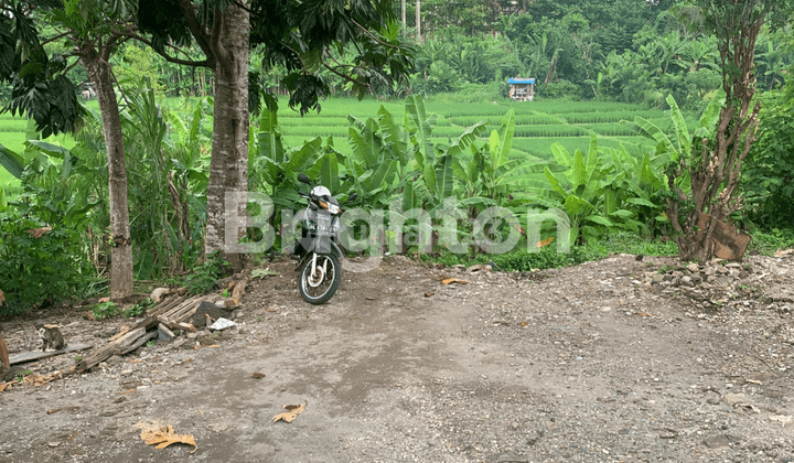 LAND AREA SEMPIDI, MENGWI BADUNG NEAR RAYA DALUNG, RAYA DENPASAR GILIMANUK 1