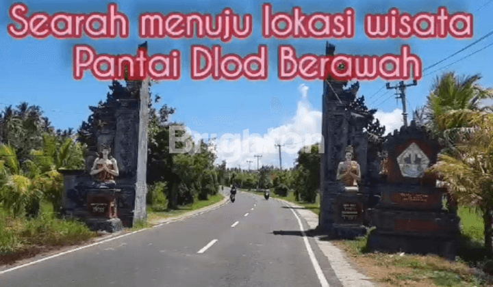 TANAH TEPI PANTAI INDAH DE LOD BRAWAH JEMBRANA - DELOD BERAWAH 2