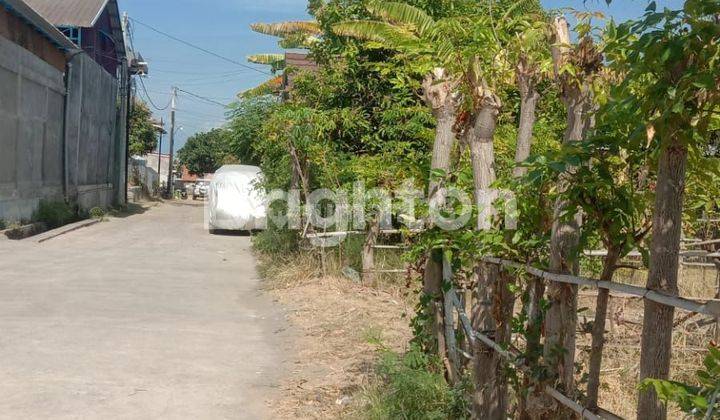 TANAH KAVLING DI JL JALAK PUTIH BALI 1