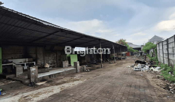 TANAH JL CARGO DEKAT MAHENDRADATTA, COKROAMINOTO - UBUNG KAJA, DENPASAR UTARA 1