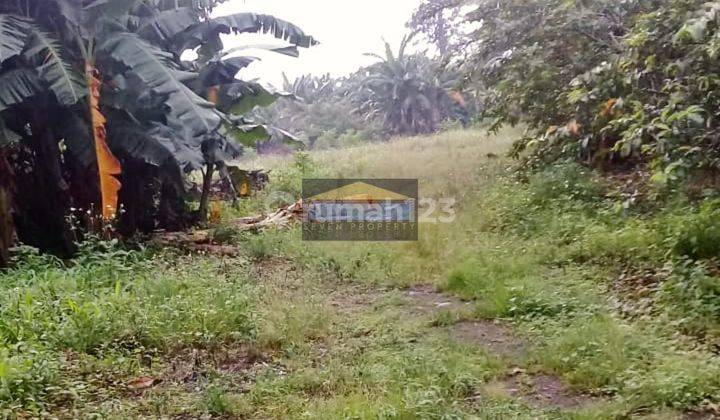 Dijual Tanah Kavling Siap Bangun Lokasi Strategis di Gunungputri 2