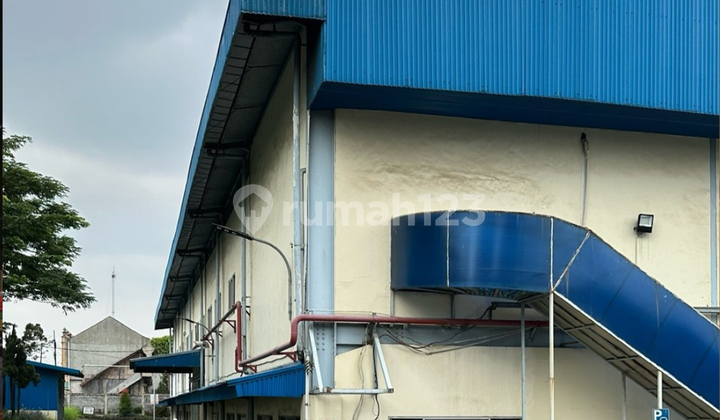 Spacious factory with sturdy, ready-to-use buildings in a strategic location! 164.5.25/rd