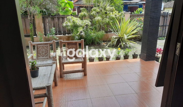 Rumah Nglempong Girikerto Turi Sleman Yogyakarta ada kebun salak masih aktif 2