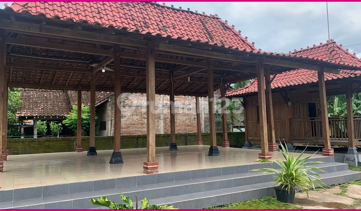 Tanah Bonus Joglo, Luas 1709 M2 Area Sentolo Kulonprogo 1