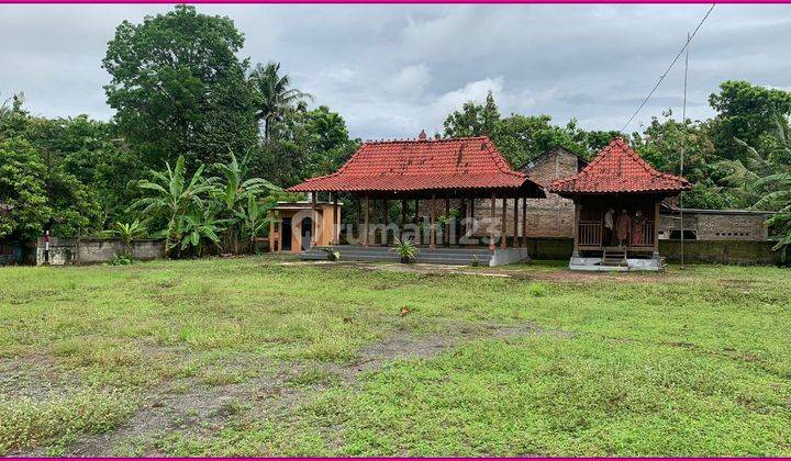 Tanah Bonus Joglo, Luas 1709 M2 Area Sentolo Kulonprogo 5