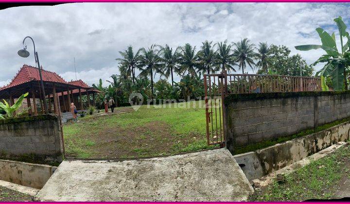 Tanah Bonus Joglo, Luas 1709 M2 Area Sentolo Kulonprogo 6