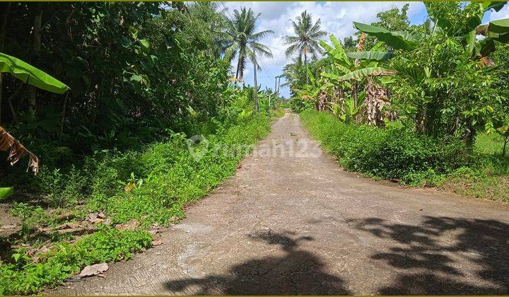 Jual Pekarangan di Wates Kota Dekat Masjid Agung Kulon Progo 2