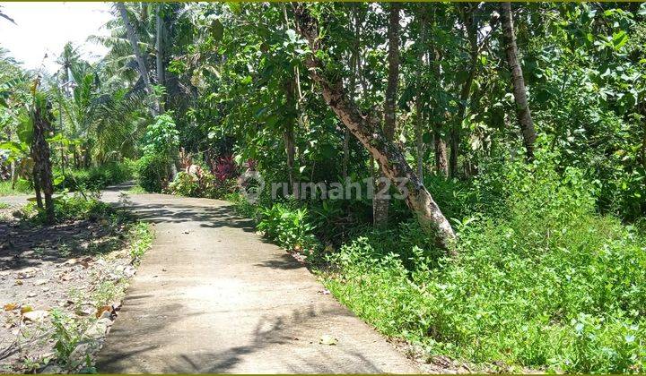 Jual Pekarangan di Wates Kota Dekat Masjid Agung Kulon Progo 3