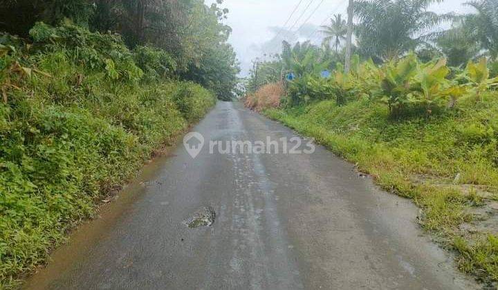 Dijual Cepat & Murah Tanah Area Cibaliung Pandeglang Banten  1