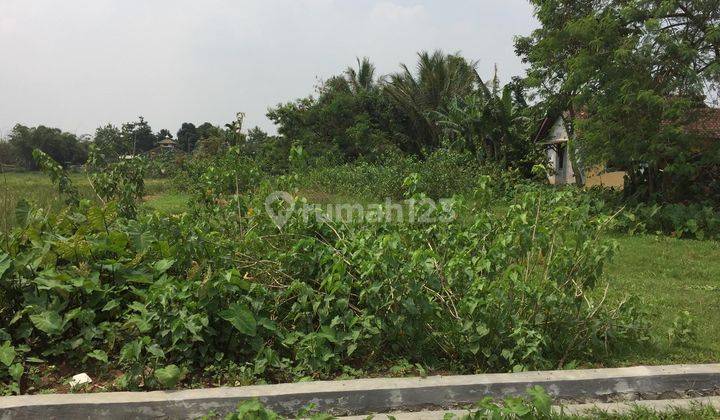 Dijual Cepat Tanah Strategis Area Legok Tangerang Banten 1