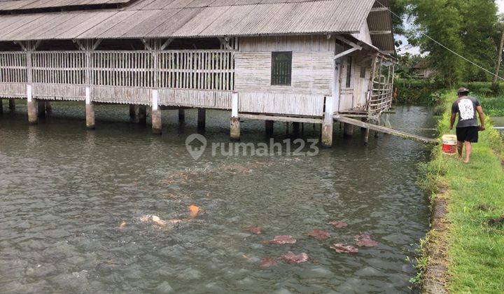 Tambak Ikan Lokasi di Ciawang Tasikmalaya 2