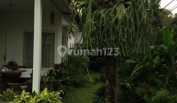 Rumah Tinggal Cocok Keluarga Besar Komp Griya Loka Bsd Tangsel