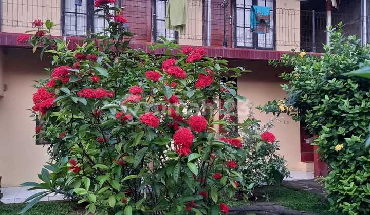 Rumah dan tempat Usaha lokasi strategis di pusat pariwisata Pangandaran  3
