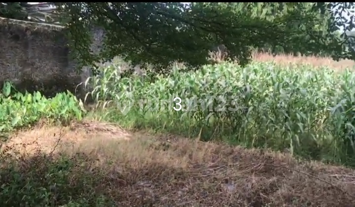 Tanah Jl Utama Kota Majalengka Tanah Jl Utama Kota Majalengka