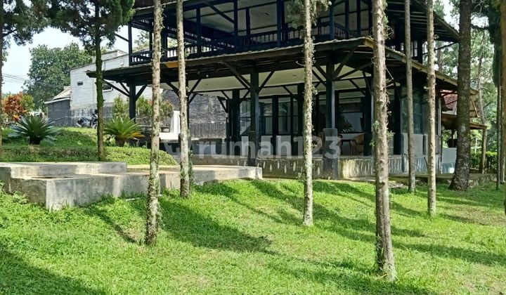 Tanah di Punclut, Ciumbuleuit Tanah di Punclut, Ciumbuleuit