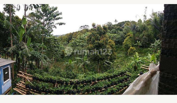 Tanah Lembang dijual di Kolonel Masturi Bandung  luas 4060 area Wisata  2