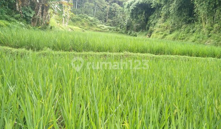 Tanah di Banjaran SHM 1680.0 M² Jual Murah Tanah di Banjaran SHM 1680.0 M² Jual Murah