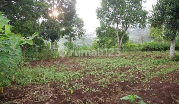 Tanah kebun SHM di pakuhaji cipageran cimahi utara