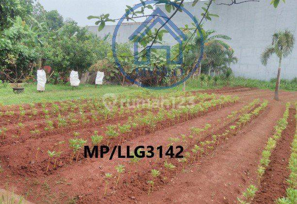 Tanah Murah di Taman Kebon Jeruk Jakarta Barat 1