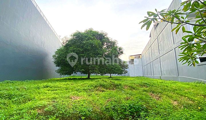 Dijual Harga Nego Kavling Hoki Bentuk Ngantong Jarang Ada ( 13x82 ) Elang Laut - Pantai Indah Kapuk, Pik