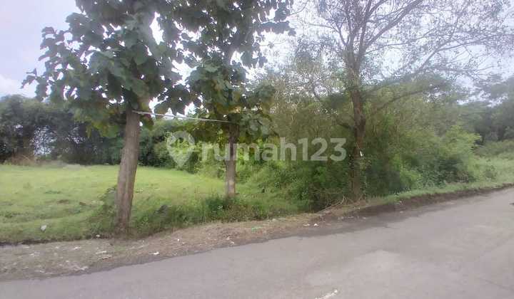 Tanah Murah Industri Strategis Cocok untuk Gudang di Karanganom, Klaten, Jawa Tengah Tanah Murah Industri Strategis Cocok untuk Gudang di Karanganom, Klaten, Jawa Tengah