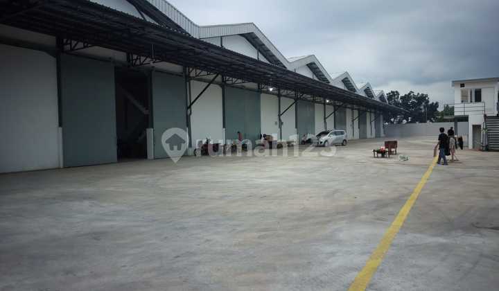 New Warehouse for Rent, Flood-Free in Kapuk
