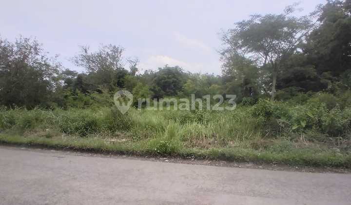 Tanah Murah Industri Strategis Cocok untuk Gudang di Karanganom, Klaten, Jawa Tengah Tanah Murah Industri Strategis Cocok untuk Gudang di Karanganom, Klaten, Jawa Tengah