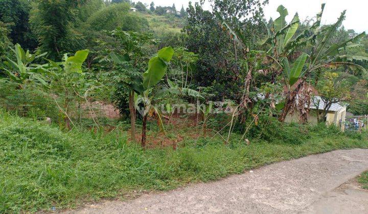 Bojong Koneng, Cikutra. Tanah Kebun Di Kota Bandung 1