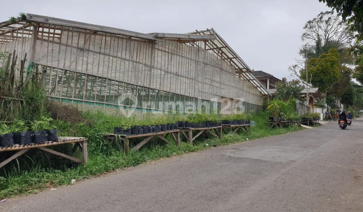 Lembang Asri, Kolonel Masturi. Tanah Kebun dengan View di Bandung
