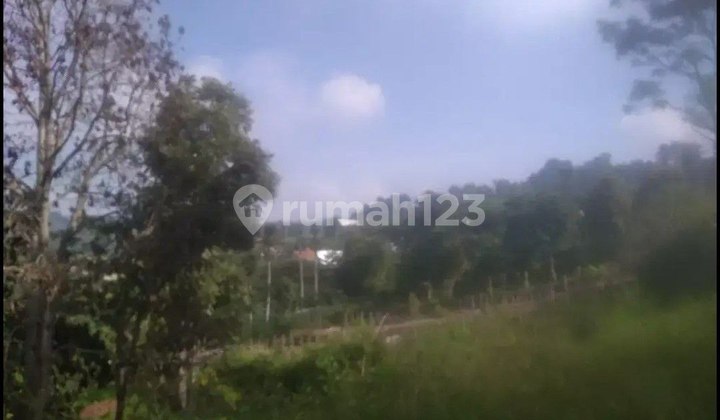 Pageurmaneuh, Puncrut, Lembang. Tanah Di Bandung Utara, Bandung 1