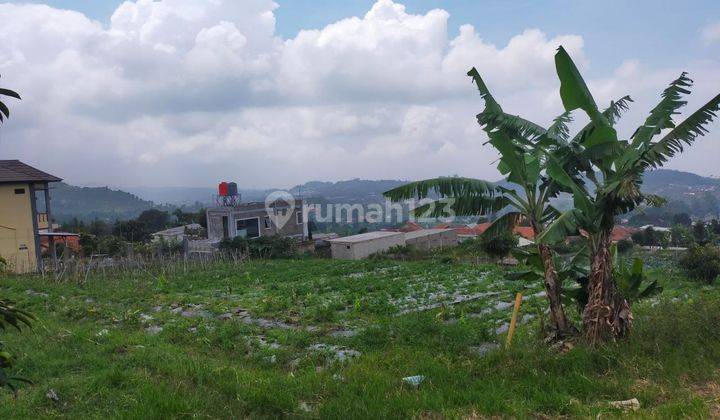 Cikahuripan, Lembang. Tanah Kavling Dengan View Di Bandung Barat 1