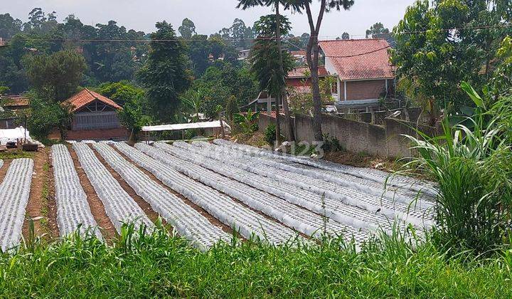 Cikahuripan, Lembang. Tanah Harga Menarik Di Bandung Barat 1