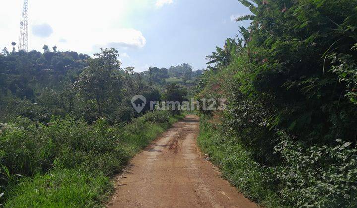 Pasir Pogor, Caringin Tilu, Padasuka Atas, Saung Udjo, Bukit Bintang. Tanah Kebun Di Bandung Timur, Bandung 1