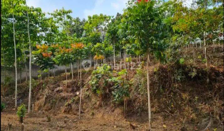 Dibawah Pasar Tanah Kebun Di Mainroad Kolonel Masturi, Dekat Lembang Dan Tempat Wisata, Bandung 2